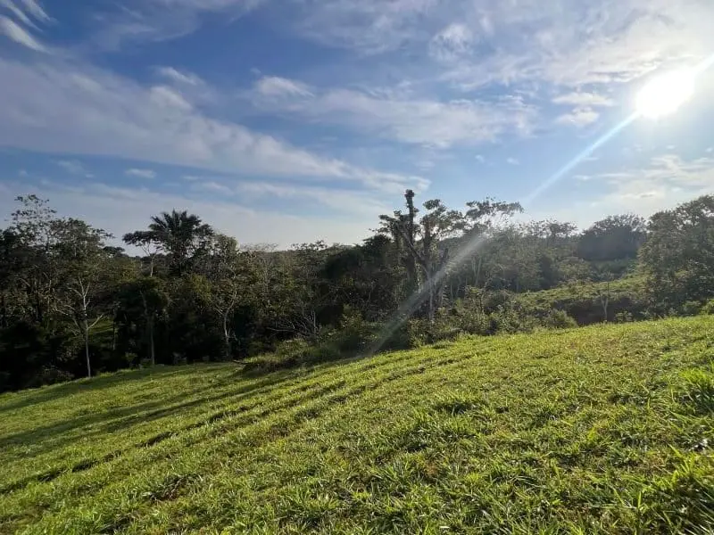 Montezuma Scenic Lots photo 8